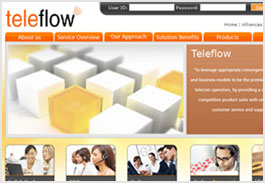 TeleFlow